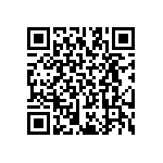 RT2512BKE079K31L QRCode