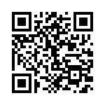 RT334012 QRCode