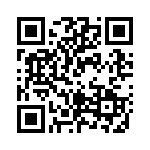 RT33L048 QRCode