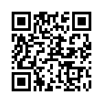 RT9013-15GB QRCode