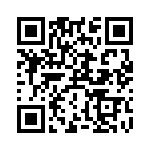 RT9013-28GB QRCode