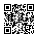 RT9013-30GB QRCode