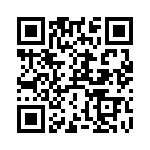 RT9013-33GB QRCode