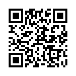 RT9069-33GB QRCode