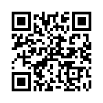 RT9073N-33GB QRCode