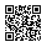 RT9074-33GSP QRCode