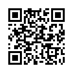 RT9161-45GV QRCode