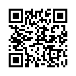 RT9163-33GG QRCode