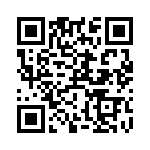 RT9167-25GB QRCode
