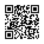 RT9167-30GB QRCode