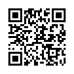 RT9167-33GB QRCode