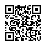 RT9169-12GV QRCode