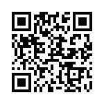 RT9170-12GB QRCode