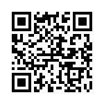 RT9173GS QRCode