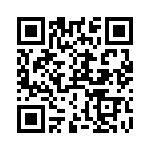 RT9193-33GF QRCode