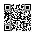 RT9502GQW QRCode