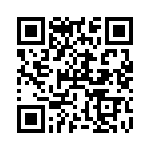 RT9505AGQW QRCode