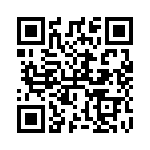 RT9514GQW QRCode