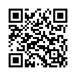 RT9524GQW QRCode