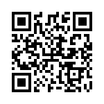 RT9527GQW QRCode