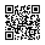 RT9532GQW QRCode