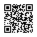 RT9595PGQW QRCode