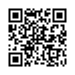 RT9728BLGE QRCode