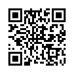 RT9728BLGQW QRCode