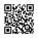 RT9741CGV QRCode