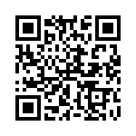 RW2R0CBR100JT QRCode