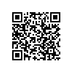 RWR80SR390FRB12 QRCode