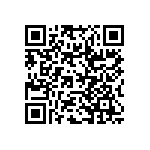 RWR81N1R10FSB12 QRCode