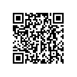 RWR81N1R33FSB12 QRCode