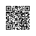 RWR81N3830FSB12 QRCode