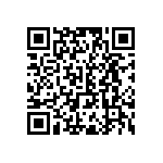 RWR81NR300FSB12 QRCode