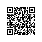 RWR81S16R9FRB12 QRCode