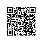 RWR81S1R30FSB12 QRCode