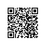 RWR81S21R0FPB12 QRCode