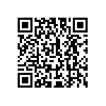 S1C17M13F101100 QRCode