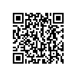 S29GL256S90FHSS43 QRCode
