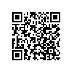 S912XEG384BVALR QRCode