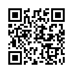 SET010311 QRCode