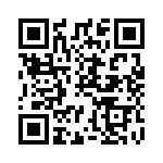 SET030111 QRCode