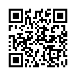 SET061211 QRCode