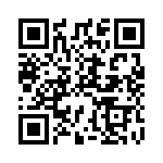 SET121211 QRCode