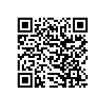 SIT1602BC-13-28S-74-176000D QRCode