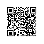 SIT1602BI-13-28S-33-333000E QRCode