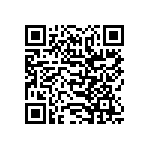 SIT1602BI-31-28S-74-176000X QRCode