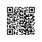 SIT1602BI-82-28E-74-250000T QRCode