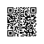 SIT2024AE-S3-33N-13-333333E QRCode